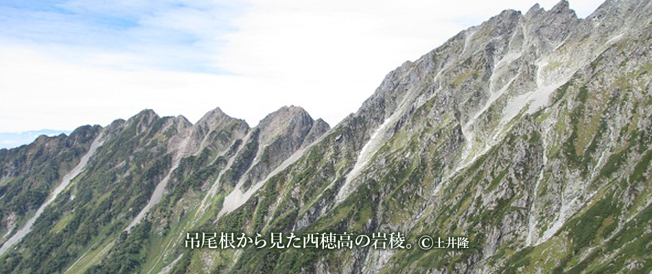 吊尾根から見た西穂高の岩稜。