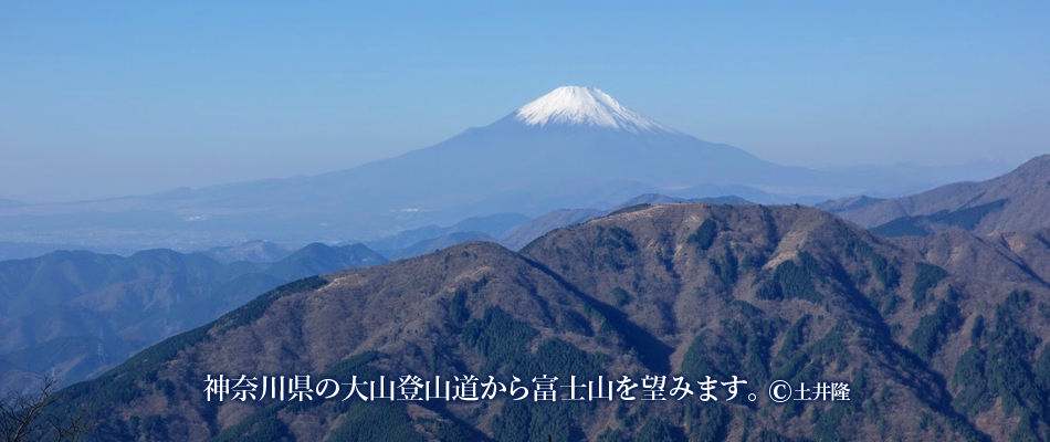 神奈川県の大山登山道から富士山を望みます。